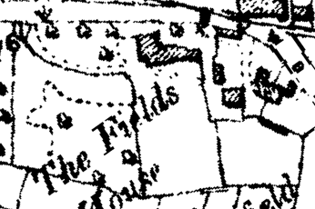 OS map showing The Field