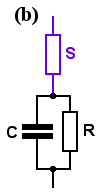 network (b): S in series with (C and R in parallel)
