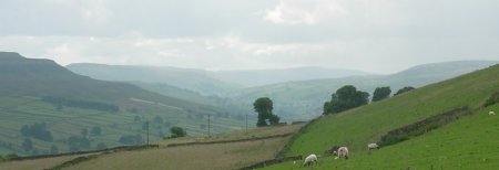 Swaledale from Marrick (c)MH