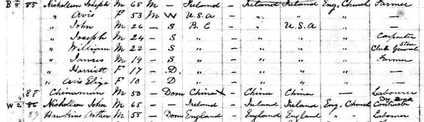 1891 census for Vancouver