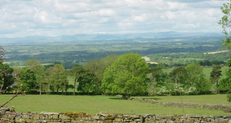 View from Calva House
