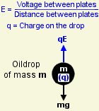 forces on the drop