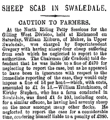 Swaledale sheep scab newspaper cutting