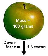 apple weighs 1 Newton